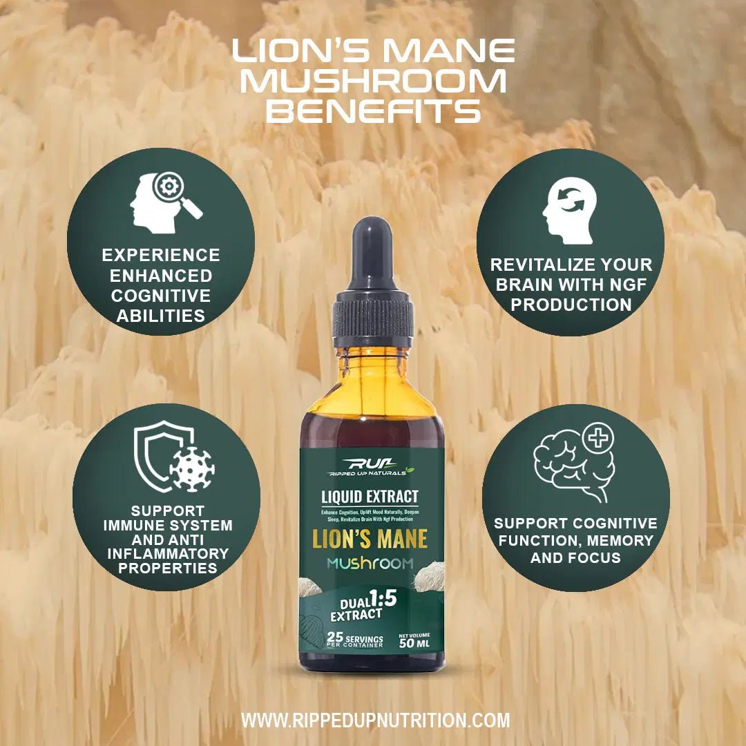 Lion's Mane Mushroom Liquid Extract - Ripped Up Nutrition