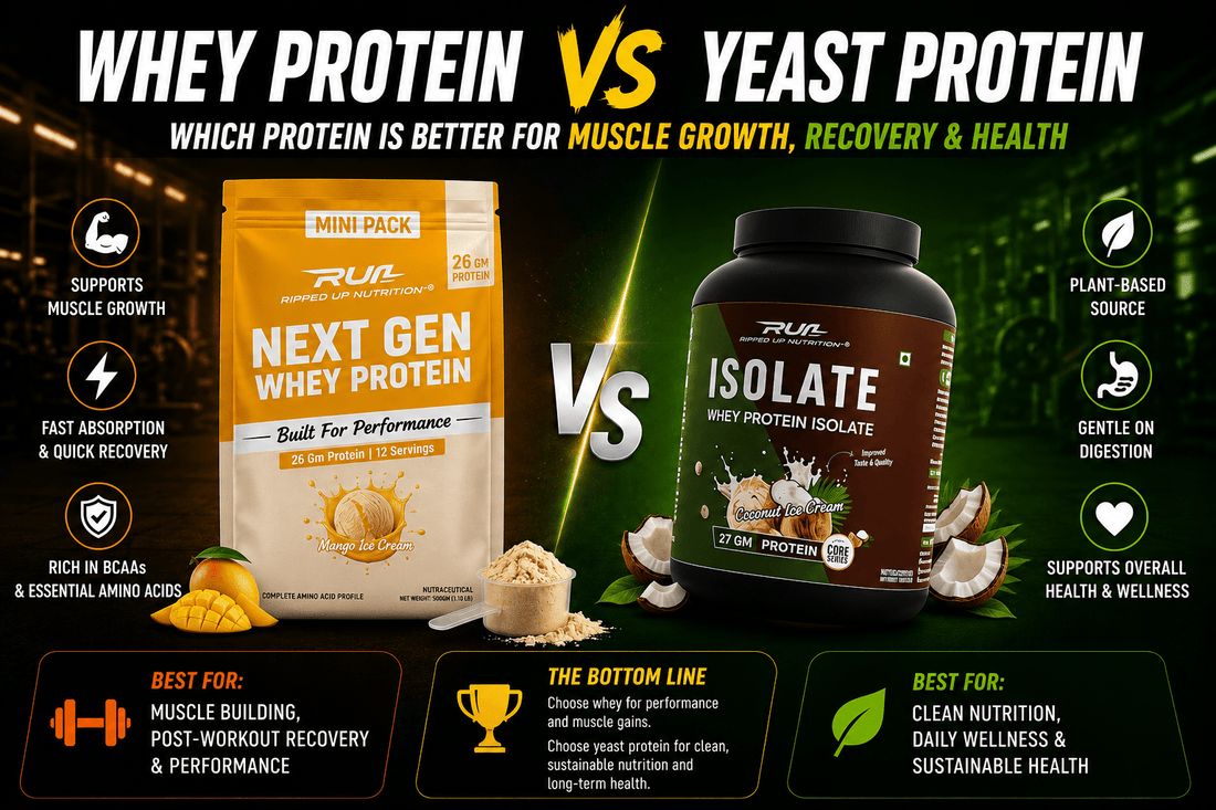 Whey Protein vs Yeast Protein: Which Protein Is Better for Muscle Growth, Recovery & Health? - Ripped Up Nutrition
