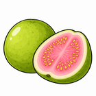 Guava Burst