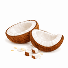 Coconut Delight