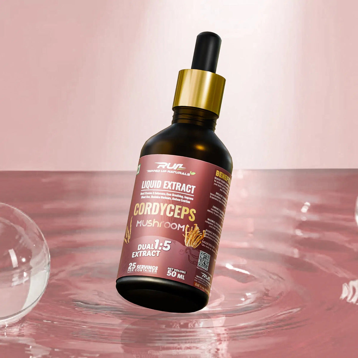 Cordyceps Mushroom Liquid Extract - Ripped Up Nutrition